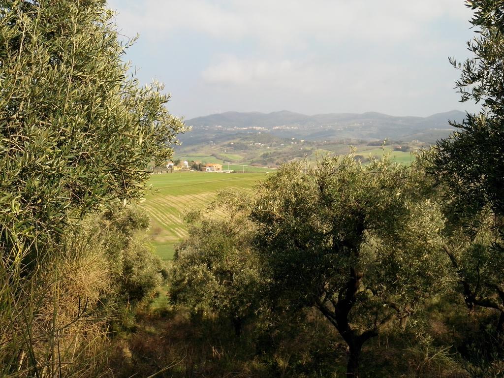 Carlo'S Country House Castellina Marittima Exterior foto
